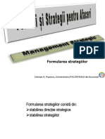 MS P4 Formularea Strategiilor