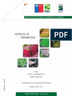 MANUAL DE FRAMBUESA.pdf