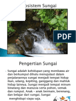 Ekosistem Sungai