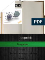 BSN I-apoptosis.pptx