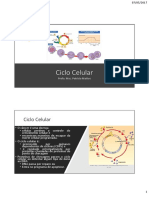 Aula PDF