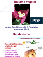 Metabolismo La Esencia de La Vida