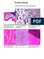 916400-Mini-Atlas-De-Histologie.pdf