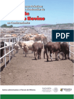 MANUAL DE BPP EN LA PRODUCCION DE CARNE DE GANADO BOVINO EN CONFINAMIENTO.pdf