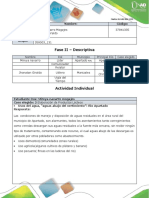 Formato de Respuestas - Fase 2 - Descriptiva