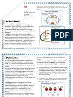 Tarea 2