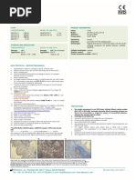 Ventana IHC Staining Protocol Guide | PDF