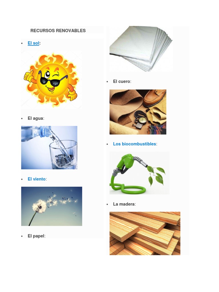 RECURSOS RENOVABLES y NO RENOVABLES