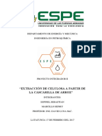 Extracción de Celulosa de Cascarillas de Arroz Informe Proyecto II