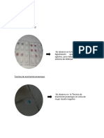 Resultadosinmo