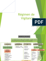 Mapa Conceptual de Regimen de Vigilancia