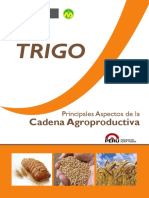 Cadena_Trigo.pdf