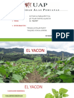 El Yacon Diapositivas Exponer