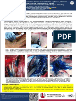 Stain distribution of a lidocaine-methylene blue solution in saphenous, obturator and lateral femoral cutaneous nerve blocks employing superficial anatomical landmark-based techniques in the dog