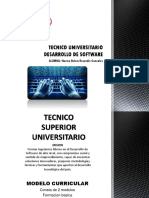 Tecnico Universitario Desarrollo de Software