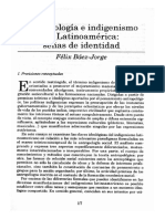 ANTROPOLOGIA E INDIGENISMO EN LATINOAMÉRICA.pdf