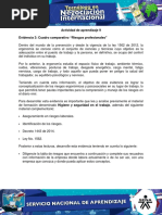 Evidencia 3 Cuadro Comparativo Riesgos Profesionales (1)