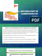 Metabolismo de carbohidratos: rutas catabólicas y anabólicas