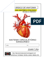 Atlas Sistema Circulatorio