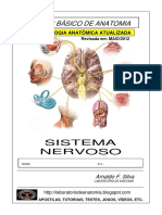 Atlas Sistema Nervoso