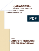 Hormon Adrenal ISTN