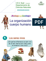 La_organizacion_del_cuerpo_humano.pps