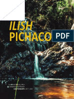 Plan Maestro Ilish Pichacoto