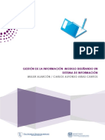 Implemetando un sistema de Informcion.pdf