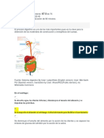 Quiz Septiembre 25