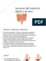 Malformaciones Del Intestino Delgado y Grueso