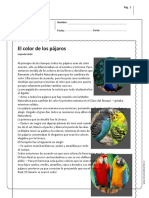 El Color de Los Pajaros