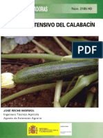 Calabacin.pdf