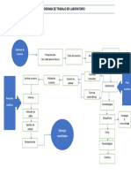 Flujograma Bioseguridad