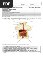 EXAMEN SUPERSUBSANACIÓN 2° CTA 2014.docx