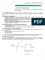 02 - Introdução à Endocrinologia