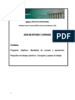 Guia Practica Profesional Ejv A PDF
