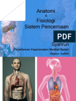 anfis digestive sistem.pptx