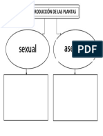 Mapa Asexual y Sexual