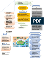 ecosistema.doc