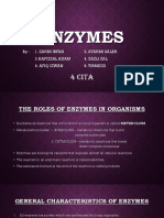 Biology - Enzymes