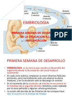 Tema 15 EMBRIOLOGIA 1