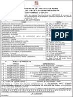 Corte Superior de Justicia de Puno Comisión de Jueces Supernumerarios