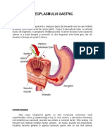 Prezentarea Generală A Neoplasmului Gastric