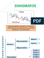 CARBOHIDRATOS2010-1.ppt