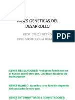 Bases genéticas del desarrollo
