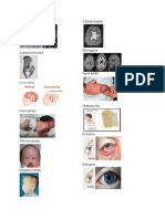 Terminologi Medis Terkait Congenital Malformations, Deformations and Chromosal Abnormalities
