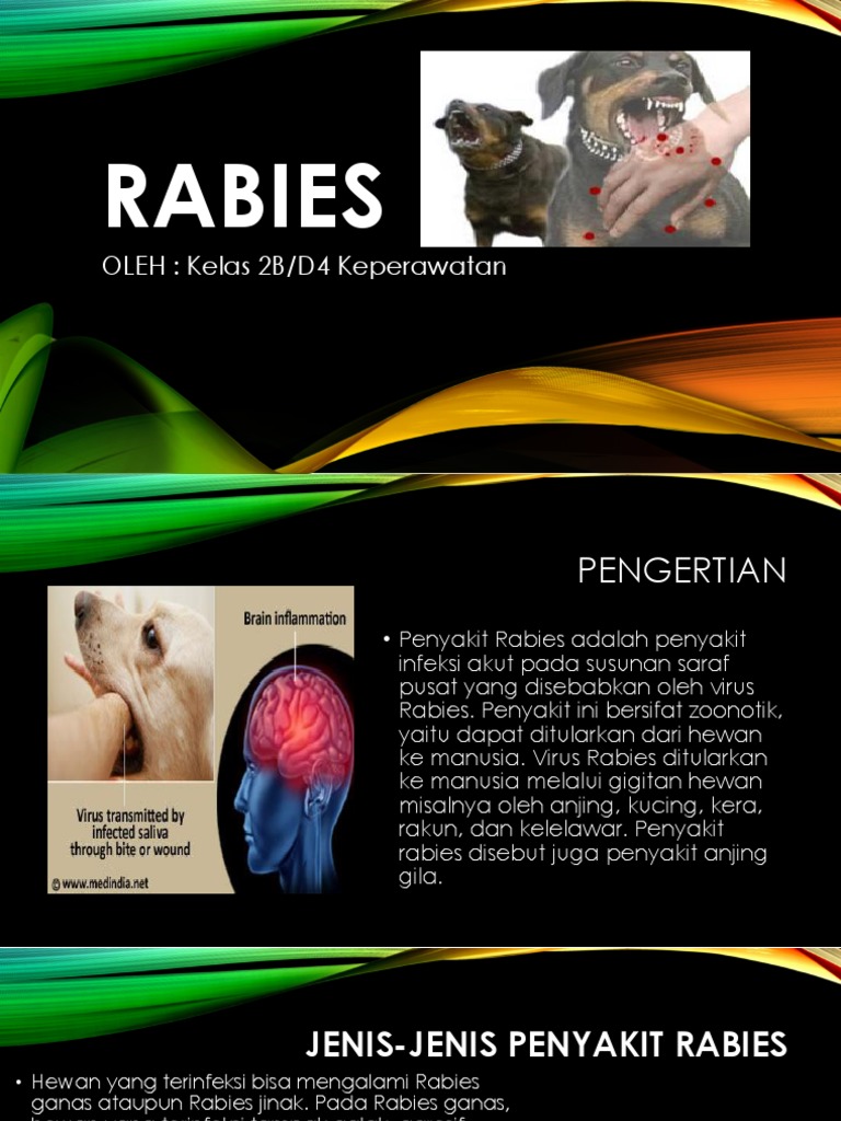 Pemahaman Penyakit Rabies dan Penanganannya | PDF | Kesehatan Holistik