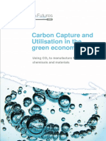 CCU in the green economy report.pdf