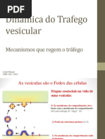 Aula 8 - vesículas