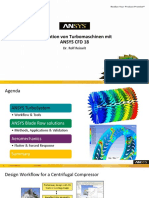 08 ANSYS Reinelt PDF